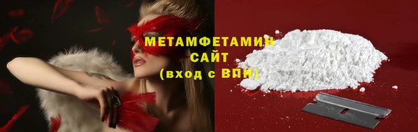 индика Костерёво