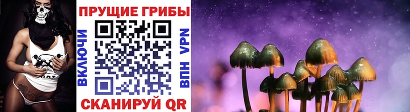 Купить где  Отрадное  Галлюциногенные грибы MAGIC MUSHROOMS 
